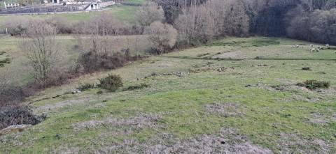 Terreno com 8000m2 na Miranda
