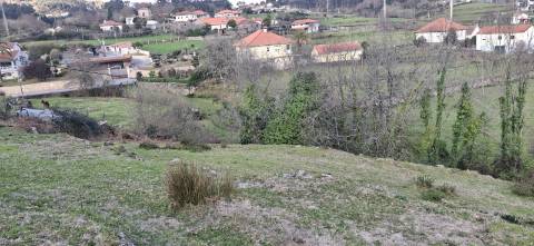 Terreno com 8000m2 na Miranda