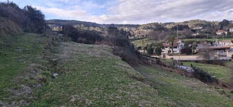 Terreno com 8000m2 na Miranda