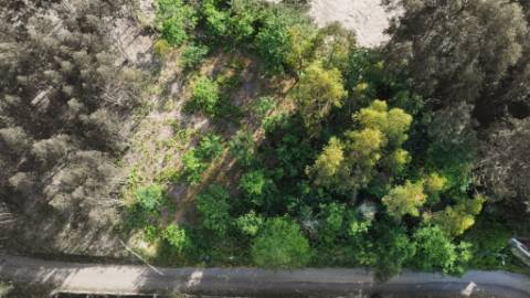 Terreno para Construção - Sabadim
