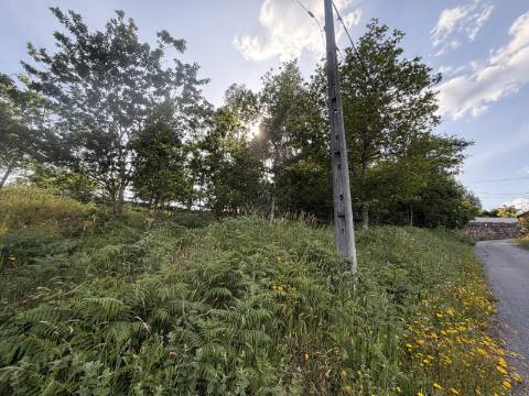 Terreno para Construção - Sabadim