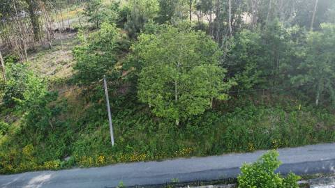 Terreno para Construção - Sabadim