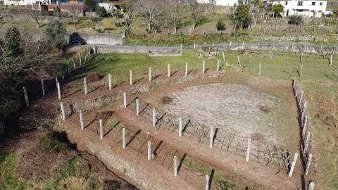 Terreno com 1.480 m² - Loureda, Arcos de Valdevez