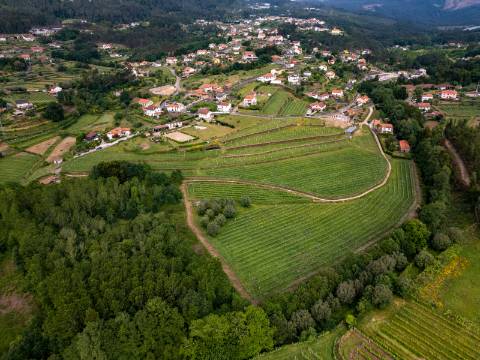 Quinta c/ Moradia V3, Piscina e Cavalariça em Arcozelo, Ponte de Lima