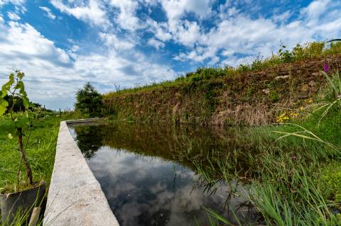 Quinta c/ Moradia V3, Piscina e Cavalariça em Arcozelo, Ponte de Lima