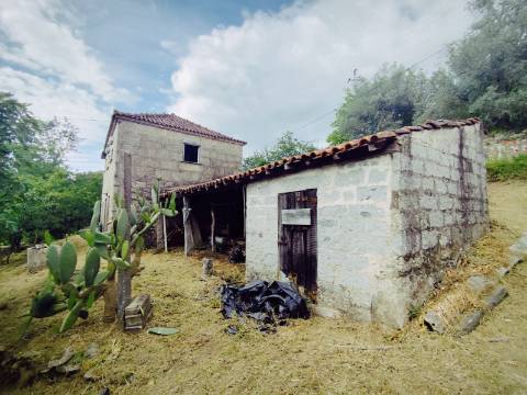 Moradia T2 com Água de Nascente