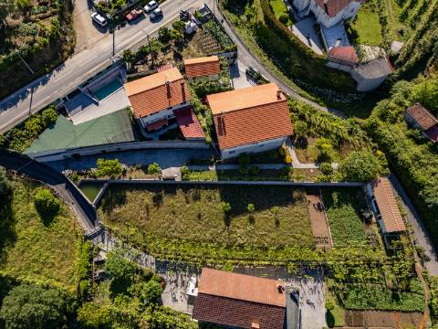 Terreno em Zona de Costrução - Plano e Murado