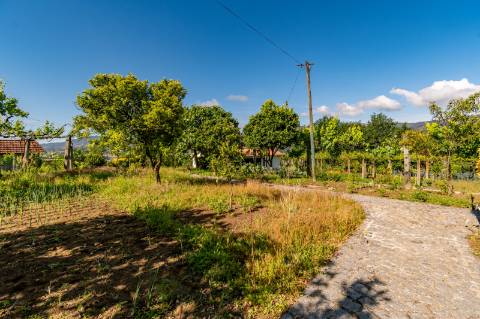 Terreno em Zona de Costrução - Plano e Murado