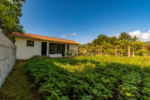 Terreno em Zona de Costrução - Plano e Murado