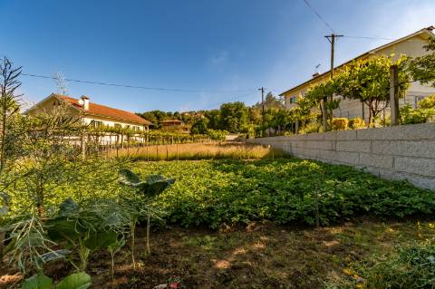 Terreno em Zona de Costrução - Plano e Murado