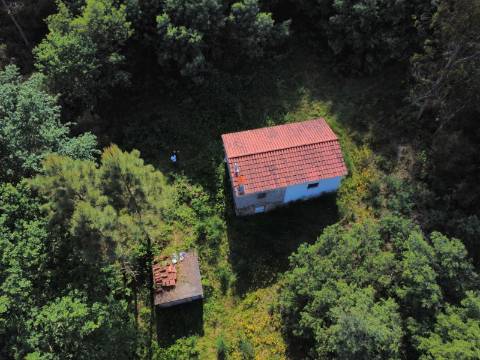 Quinta Isolada com Água de Mina e Dependência Agrícola em Arcos de Valdevez