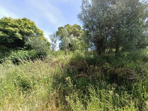 Terreno para Construção - Viana do Castelo