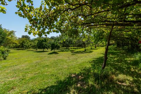 Viva entre a Natureza e a História - Moradia a 5 minutos a pé do centro Ponte de Lima