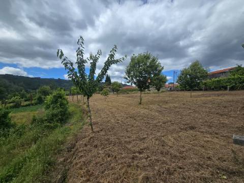 Terreno Grovelas, Ponte da Barca