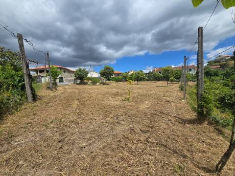 Terreno Grovelas, Ponte da Barca