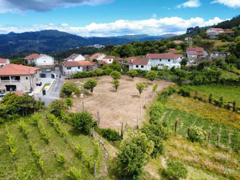 Terreno Grovelas, Ponte da Barca