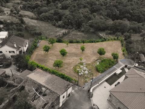 Terreno Grovelas, Ponte da Barca