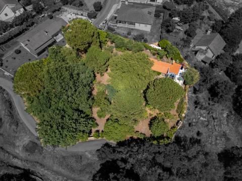 Quinta V2+1 Tradicional em Pedra em Vitorino dos Piães, Ponte de Lima