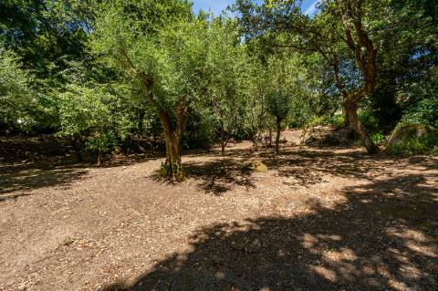 Quinta V2+1 Tradicional em Pedra em Vitorino dos Piães, Ponte de Lima