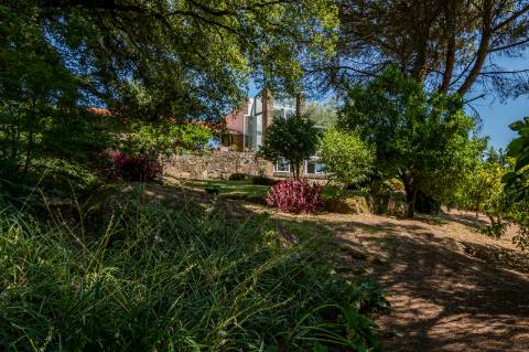Quinta V2+1 Tradicional em Pedra em Vitorino dos Piães, Ponte de Lima