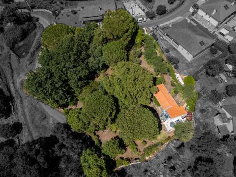 Quinta V2+1 Tradicional em Pedra em Vitorino dos Piães, Ponte de Lima