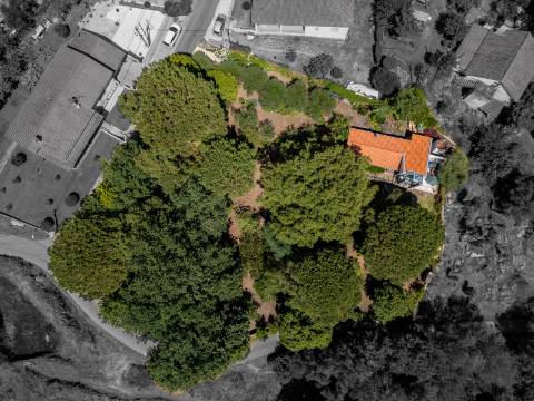 Quinta V2+1 Tradicional em Pedra em Vitorino dos Piães, Ponte de Lima