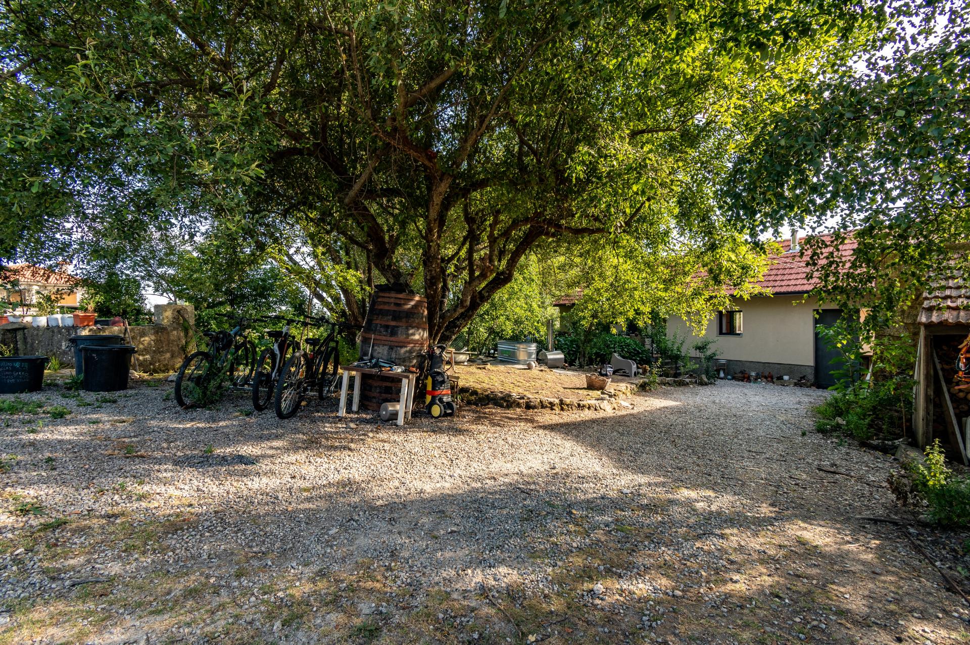 Eco-lodge com negócio em funcionamento AL + Glamping + Zona de Campismo