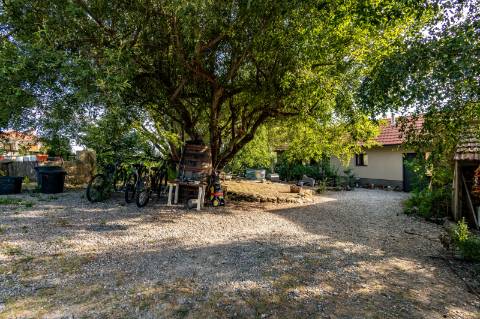 Eco-lodge com negócio em funcionamento AL + Glamping + Zona de Campismo
