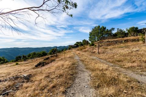 Eco-lodge com negócio em funcionamento AL + Glamping + Zona de Campismo