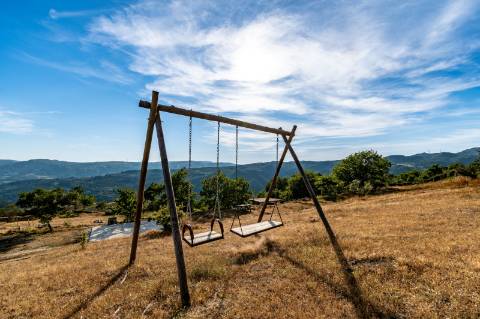 Eco-lodge com negócio em funcionamento AL + Glamping + Zona de Campismo