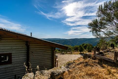 Eco-lodge com negócio em funcionamento AL + Glamping + Zona de Campismo