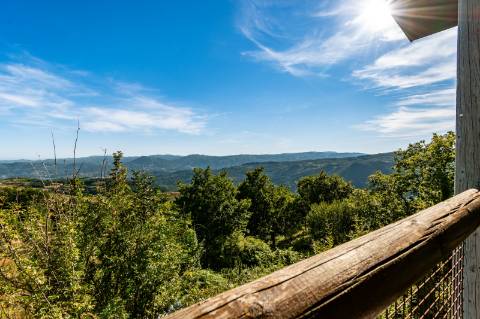 Eco-lodge com negócio em funcionamento AL + Glamping + Zona de Campismo