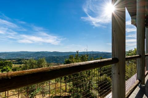 Eco-lodge com negócio em funcionamento AL + Glamping + Zona de Campismo