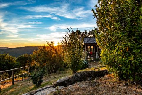 Eco-lodge com negócio em funcionamento AL + Glamping + Zona de Campismo