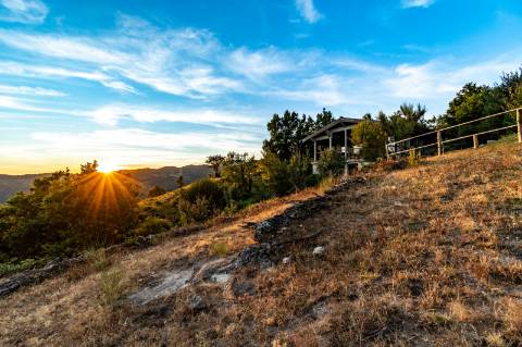Eco-lodge com negócio em funcionamento AL + Glamping + Zona de Campismo