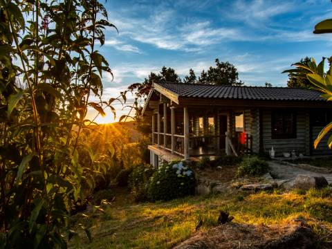 Eco-lodge com negócio em funcionamento AL + Glamping + Zona de Campismo