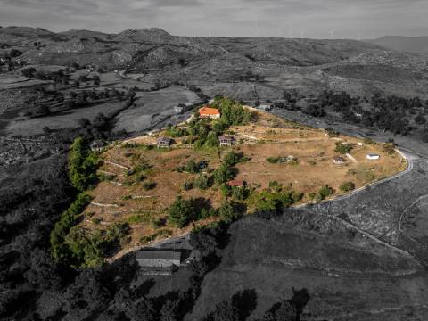 Eco-lodge com negócio em funcionamento AL + Glamping + Zona de Campismo