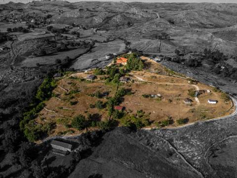 Eco-lodge com negócio em funcionamento AL + Glamping + Zona de Campismo