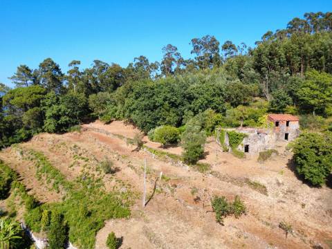 Quinta com Casa em Pedra, Vista Mar e Potencial de Construção | Tregosa | Barcelos

