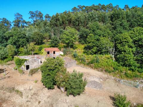 Quinta com Casa em Pedra, Vista Mar e Potencial de Construção | Tregosa | Barcelos

