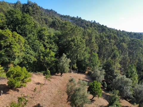 Quinta com Casa em Pedra, Vista Mar e Potencial de Construção | Tregosa | Barcelos
