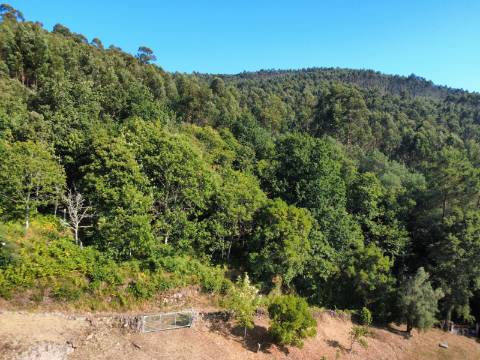 Quinta com Casa em Pedra, Vista Mar e Potencial de Construção | Tregosa | Barcelos
