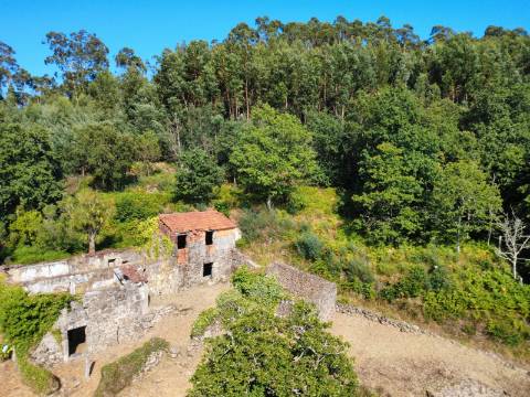 Quinta com Casa em Pedra, Vista Mar e Potencial de Construção | Tregosa | Barcelos
