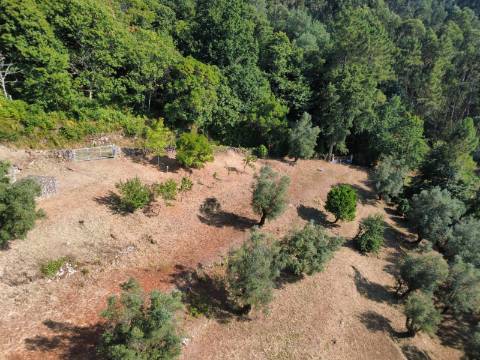 Quinta com Casa em Pedra, Vista Mar e Potencial de Construção | Tregosa | Barcelos
