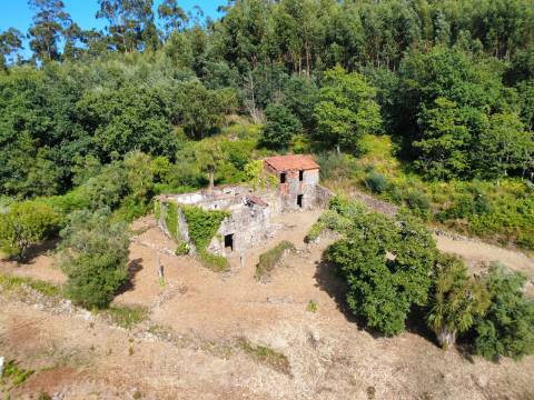 Quinta com Casa em Pedra, Vista Mar e Potencial de Construção | Tregosa | Barcelos
