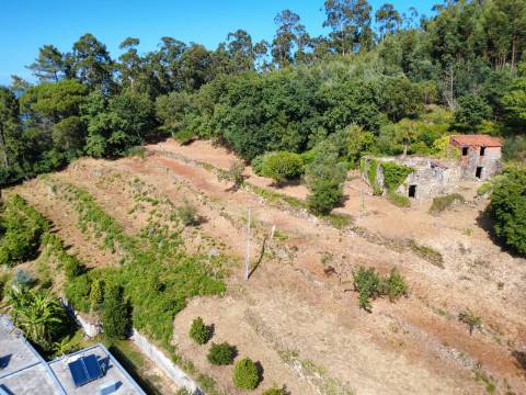 Quinta com Casa em Pedra, Vista Mar e Potencial de Construção | Tregosa | Barcelos
