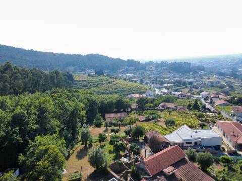 Quinta com Casa em Pedra, Vista Mar e Potencial de Construção | Tregosa | Barcelos
