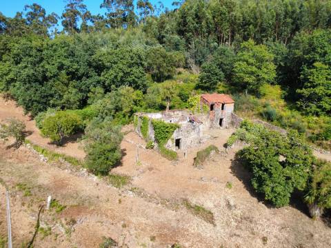 Quinta com Casa em Pedra, Vista Mar e Potencial de Construção | Tregosa | Barcelos
