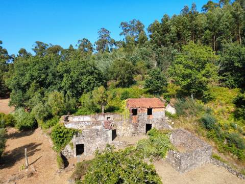 Quinta com Casa em Pedra, Vista Mar e Potencial de Construção | Tregosa | Barcelos
