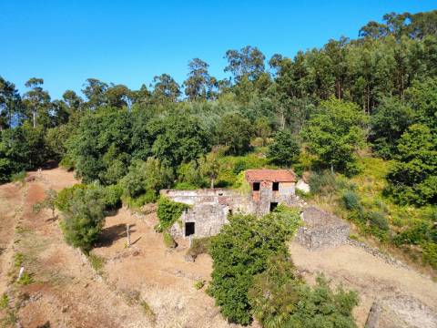 Quinta com Casa em Pedra, Vista Mar e Potencial de Construção | Tregosa | Barcelos
